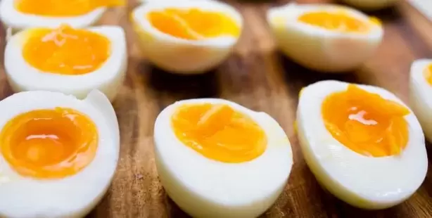 prós e contras da dieta do ovo